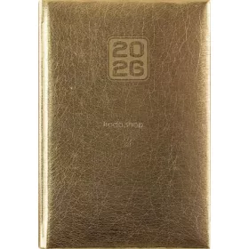   Naptár, tervező, A5, napi, DAYLINER, "Mirror", arany