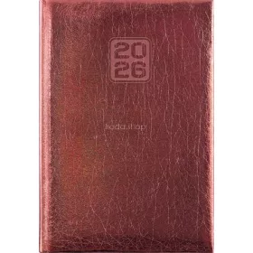   Naptár, tervező, A5, napi, DAYLINER, "Mirror", bronz