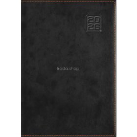   Naptár, tervező, B5, heti, DAYLINER "Square", fekete