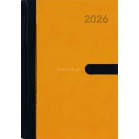   Naptár, tervező, A5, heti, DAYLINER "Winner", sárga