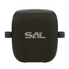 SAL PARCUBE boombox, 100 W, 2db vezeték nélküli mikrofon, 5db hangszóró, LED fényeffekt, IPX5 védelem, Bluetooth