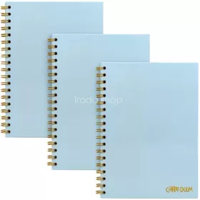   Spirálfüzet, B5, vonalas, 80 lap, FSC, PUKKA PAD "Carpe Diem", égszínkék