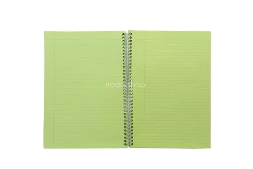 Spirálfüzet, A5, vonalas, 100 lap, PUKKA PAD "Irlen Jotta Green"