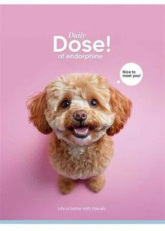 Füzet, tűzött, A5, kockás, 48 lap, SHKOLYARYK "Nice to meet you", vegyes