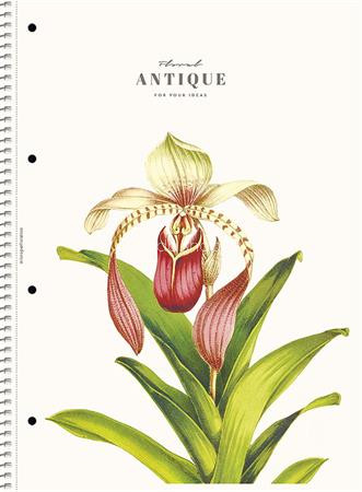 Spirálfüzet, A4, vonalas, 80 lap, SHOLYARYK "College Block Wonders", vegyes