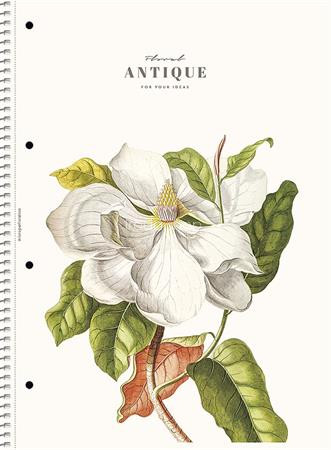 Spirálfüzet, A4, vonalas, 80 lap, SHOLYARYK "College Block Wonders", vegyes