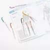 Szövegkiemelő, 1,0/3,5 mm, kétvégű, ZEBRA "Mildliner Warm", füstkék